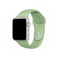 Silicone Band Light Green - 38mm/40mm/41mm