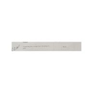 Rugged Ring Mint - Google Pixel 7 (#RGRNG-P7-MNT)
